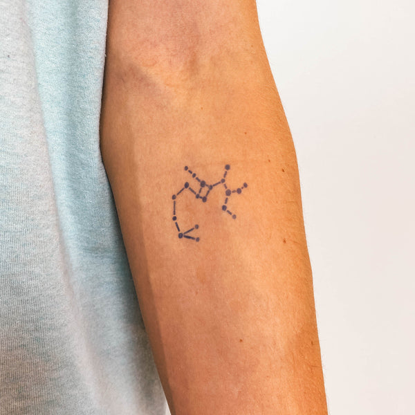 Capricorn Zodiac Symbol Temporary Tattoo (Set of 3) – Small Tattoos